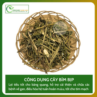 1kg CÂY BÌM BỊP (XƯƠNG KHỈ) Loại 1 Hỗ Trợ Men Gan Cao, Đau Nhức Xương Khớp | Dược liệu Thanh Loan
