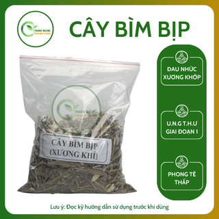 1kg CÂY BÌM BỊP (XƯƠNG KHỈ) Loại 1 Hỗ Trợ Men Gan Cao, Đau Nhức Xương Khớp | Dược liệu Thanh Loan