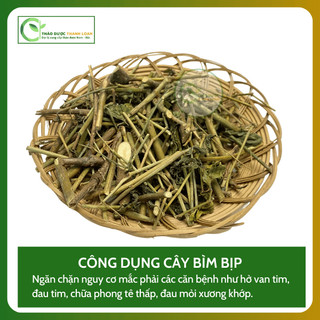 1kg CÂY BÌM BỊP (XƯƠNG KHỈ) Loại 1 Hỗ Trợ Men Gan Cao, Đau Nhức Xương Khớp | Dược liệu Thanh Loan