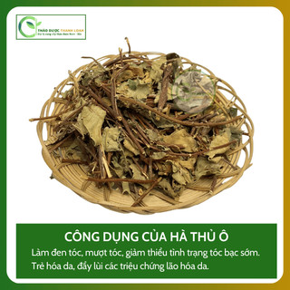 1kg CÂY HÀ THỦ Ô Loại 1 Hỗ Trợ Trẻ Hóa Da, Kích Thích Mọc Tóc | Dược liệu Thanh Loan