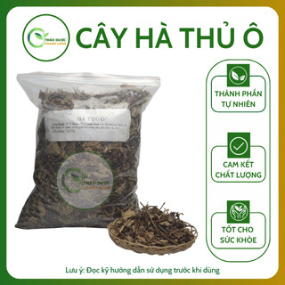 1kg CÂY HÀ THỦ Ô Loại 1 Hỗ Trợ Trẻ Hóa Da, Kích Thích Mọc Tóc | Dược liệu Thanh Loan