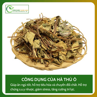1kg CÂY HÀ THỦ Ô Loại 1 Hỗ Trợ Trẻ Hóa Da, Kích Thích Mọc Tóc | Dược liệu Thanh Loan