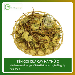 1kg CÂY HÀ THỦ Ô Loại 1 Hỗ Trợ Trẻ Hóa Da, Kích Thích Mọc Tóc | Dược liệu Thanh Loan