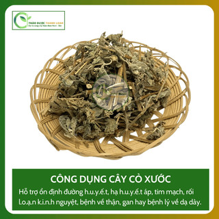 1kg CÂY CỎ XƯỚC (Ngưu Tất Nam) Loại 1 Chữa đau nhức xương khớp, cảm mạo | Dược liệu Thanh Loan