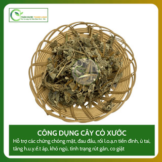 1kg CÂY CỎ XƯỚC (Ngưu Tất Nam) Loại 1 Chữa đau nhức xương khớp, cảm mạo | Dược liệu Thanh Loan