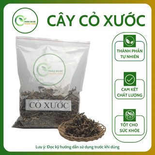 1kg CÂY CỎ XƯỚC (Ngưu Tất Nam) Loại 1 Chữa đau nhức xương khớp, cảm mạo | Dược liệu Thanh Loan