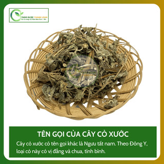 1kg CÂY CỎ XƯỚC (Ngưu Tất Nam) Loại 1 Chữa đau nhức xương khớp, cảm mạo | Dược liệu Thanh Loan