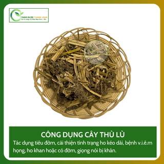 1kg CÂY THÙ LÙ (TẦM BÓP) Loại 1 (Khô, Sạch, Thơm) Hỗ Trợ Giải Nhiệt, Tiêu Đờm | Dược liệu Thanh Loan