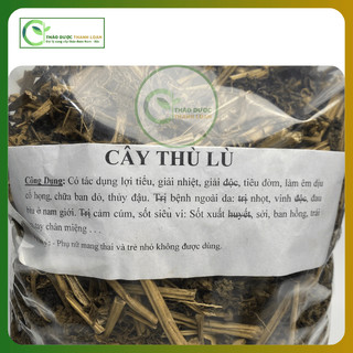 1kg CÂY THÙ LÙ (TẦM BÓP) Loại 1 (Khô, Sạch, Thơm) Hỗ Trợ Giải Nhiệt, Tiêu Đờm | Dược liệu Thanh Loan