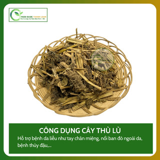 1kg CÂY THÙ LÙ (TẦM BÓP) Loại 1 (Khô, Sạch, Thơm) Hỗ Trợ Giải Nhiệt, Tiêu Đờm | Dược liệu Thanh Loan