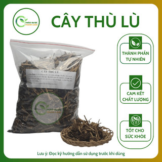 1kg CÂY THÙ LÙ (TẦM BÓP) Loại 1 (Khô, Sạch, Thơm) Hỗ Trợ Giải Nhiệt, Tiêu Đờm | Dược liệu Thanh Loan