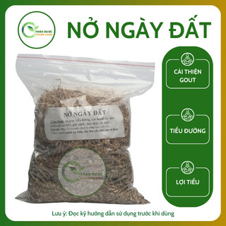 1kg NỞ NGÀY ĐẤT (Cây Bạc Đầu, Cây Hoà Gà Trắng) Giảm đau, giảm cảm, khó tiêu | Dược liệu Thanh Loan
