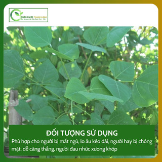 1kg CÂY VÔNG NEM (Cây Lá Vông) Loại 1 Hỗ Trợ An Thần, Giúp Ngủ Ngon | Dược liệu Thanh Loan