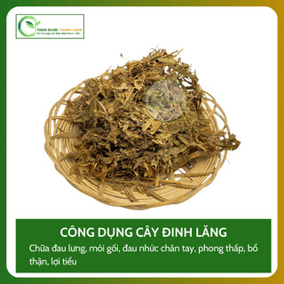 1kg CÂY ĐINH LĂNG (Nam Dương Sâm) Loại 1 Hỗ Trợ Đau Lưng, Giảm Mệt Mỏi | Dược liệu Thanh Loan