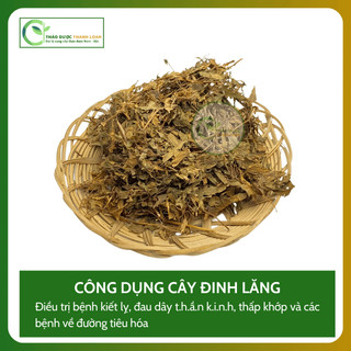 1kg CÂY ĐINH LĂNG (Nam Dương Sâm) Loại 1 Hỗ Trợ Đau Lưng, Giảm Mệt Mỏi | Dược liệu Thanh Loan