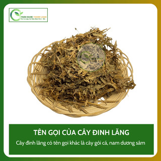1kg CÂY ĐINH LĂNG (Nam Dương Sâm) Loại 1 Hỗ Trợ Đau Lưng, Giảm Mệt Mỏi | Dược liệu Thanh Loan