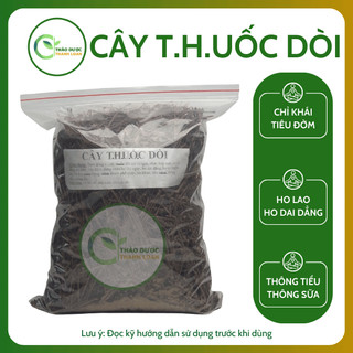 1kg CÂY DÒI THÂN TÍM (Cây Dòi Tía, Bọ Mắm) Loại 1 Tiêu đờm, Chữa ho, Lợi tiểu | Dược liệu Thanh Loan