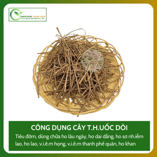 1kg CÂY DÒI THÂN TÍM (Cây Dòi Tía, Bọ Mắm) Loại 1 Tiêu đờm, Chữa ho, Lợi tiểu | Dược liệu Thanh Loan