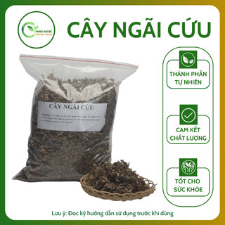 1kg CÂY NGÃI CỨU Loại 1 (Khô, Sạch, Thơm) Hỗ Trợ Giảm Đau Nhức Xương Khớp | Dược liệu Thanh Loan