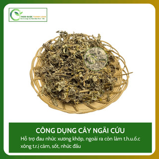 1kg CÂY NGÃI CỨU Loại 1 (Khô, Sạch, Thơm) Hỗ Trợ Giảm Đau Nhức Xương Khớp | Dược liệu Thanh Loan