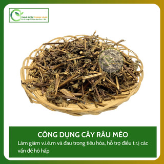 1kg CÂY RÂU MÈO Loại 1 (Khô, Sạch, Thơm) Hỗ Trợ Sỏi Thận, Thông Tiểu | Dược liệu Thanh Loan