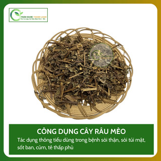 1kg CÂY RÂU MÈO Loại 1 (Khô, Sạch, Thơm) Hỗ Trợ Sỏi Thận, Thông Tiểu | Dược liệu Thanh Loan