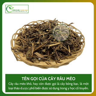 1kg CÂY RÂU MÈO Loại 1 (Khô, Sạch, Thơm) Hỗ Trợ Sỏi Thận, Thông Tiểu | Dược liệu Thanh Loan