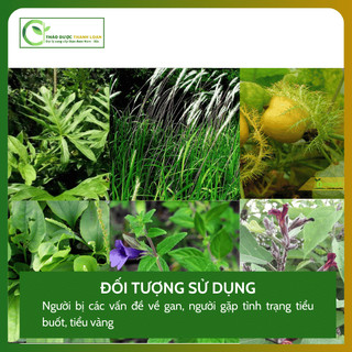 1kg THANH NHIỆT MÁT GAN Loại 1 Hỗ Trợ Lợi Tiểu, Tốt Cho Gan, Ngủ Ngon | Dược liệu Thanh Loan