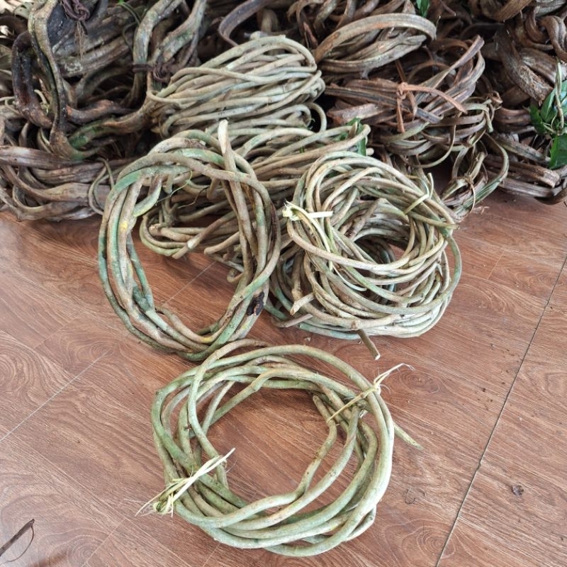 Dây rừng tròn tự nhiên decor trang trí dài 5m | Shopee Việt Nam