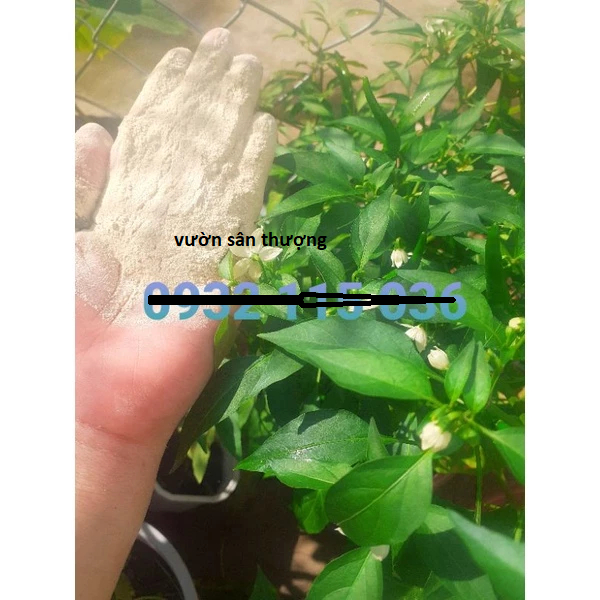 Phân Tôm Dạng Bột Đã Xử Lý Xay Nghiền Cung Cấp Đa Trung Vi Lượng Hữu Cơ Cho Cây Trồng