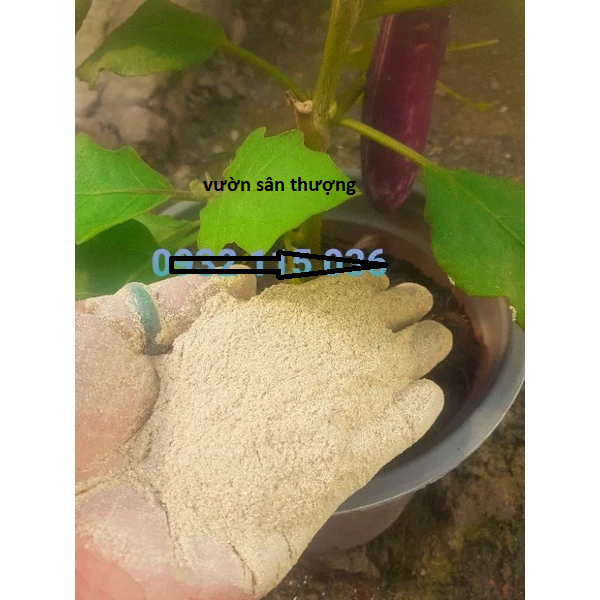 Phân Tôm Dạng Bột Đã Xử Lý Xay Nghiền Cung Cấp Đa Trung Vi Lượng Hữu Cơ Cho Cây Trồng