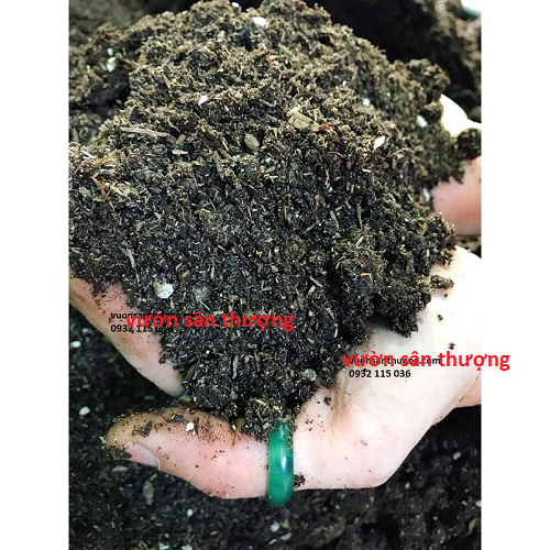 Gói 2kg Đất Chuyên Hồng Đã Phối Trộn Đất đỏ, Compost, Phân trùn, Perlite, Phân Dê, Phân Gà,...