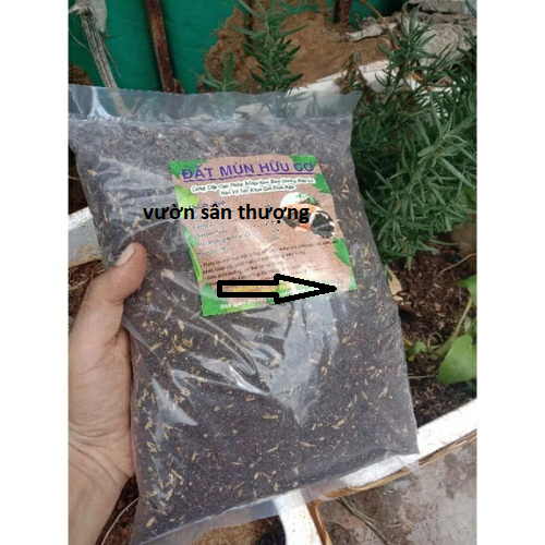 Giá Thể Đã Trộn Sẵn (1kg) Trồng Rau, Củ Quả Cây Cảnh
