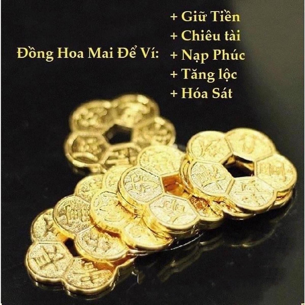 [HÓT] Đồng Xu Phong Thuỷ Hoa Mai 5 Cánh Giá Tốt Nhất, Sỉ Số Lượng Lớn , Giá Sỉ