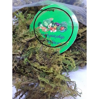 Gói 100gr Rêu Rừng TRồng, Ghép Lan, giữ Ẩm, Dùng Trồng Cây Nôi Thất Thân Leo