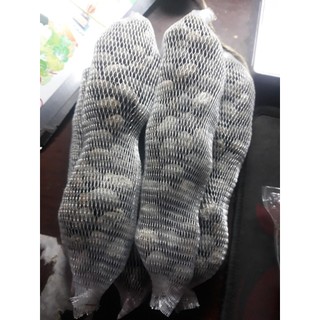 1 Gói Phân Dê Viên Túi Lưới Đặt Gốc Lan, Mai, Hồng, Củ, Quả, Cây Cảnh Dài 8-10cm, Đã Xử Lý Phơi Khô