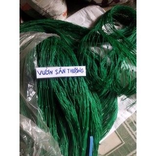 10m Lưới Làm Giàn Trồng Cây, Vay Chuồng Trại,..., Khổ Kéo Căn 2m, Dây Leo, Mắt 4x4 cm, Sợi Xanh Bền