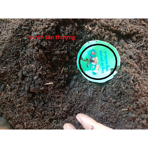 10kg Phân Compost (phân Rác) Mùn Hữu Cơ Ủ Từ Thực Vật, Nguyên Liệu Phối Trộn Đất ươm Cây, Tơi Mịn Có Ủ Cùng Trichoderma