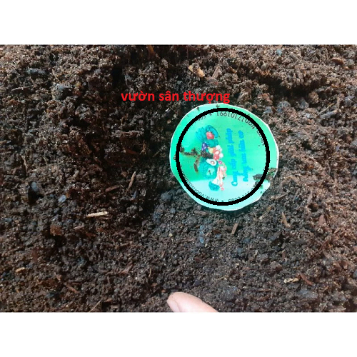 10kg Phân Compost (phân Rác) Mùn Hữu Cơ Ủ Từ Thực Vật, Nguyên Liệu Phối Trộn Đất ươm Cây, Tơi Mịn Có Ủ Cùng Trichoderma