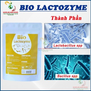 Men tiêu hóa cho chó mèo Tôm cá Lactozyme, bổ sung lợi khuẩn, ngừa phân lỏng, phòng bệnh phân trắng. Gói 227gram