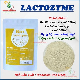 Men tiêu hóa cho chó mèo Tôm cá Lactozyme, bổ sung lợi khuẩn, ngừa phân lỏng, phòng bệnh phân trắng. Gói 227gram