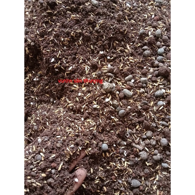 5 kg đất trộn trồng hồng các loại