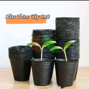 New 💯 60 Túi Bầu Ươm, Bầu ươm hạt giống cây giống tiện lợi tại nhà😍 Chất liệu loại 1 dễ sử dụng