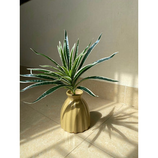 Cỏ mỹ bụi trang trí - Cây cỏ giả