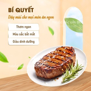 Bột lá hương thảo nguyên chất 100g (Rosemary, gia vị nấu ăn)