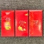Combo 10 Bao Lì Xì Giá Sỉ Mẫu Chữ LỘC đẹp mắt ý nghĩa lịch sự Lì Xì Tết độc đáo , Giá Sỉ