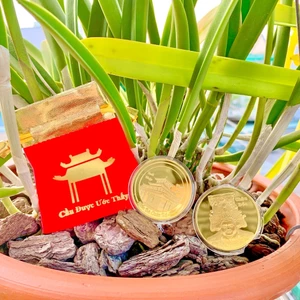 Đồng Xu Bà Chúa Xứ Châu Đốc Mạ Vàng , Rước Tài Lộc Làm Ăn Phát Tài , Kèm túi Cầu Được Ước Thấy 🌸RƯỚC LỘC🌸