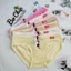 Quần lót nữ thun lạnh thông hơi mềm mại thoáng khí size 40-50 ký
