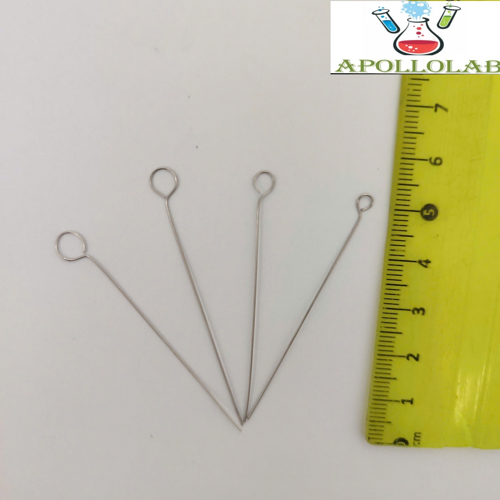 Đầu que cấy vi sinh tròn inox chịu nhiệt đường kính 2,3,4,5 mm | Shopee ...