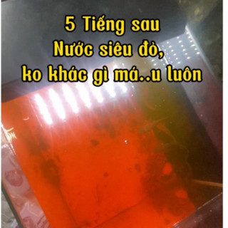MỘC BÀNG Túi lọc lá bàng , bột lá bàng và tô mộc dưỡng cá tăng màu cho cá lóc cá cảnh